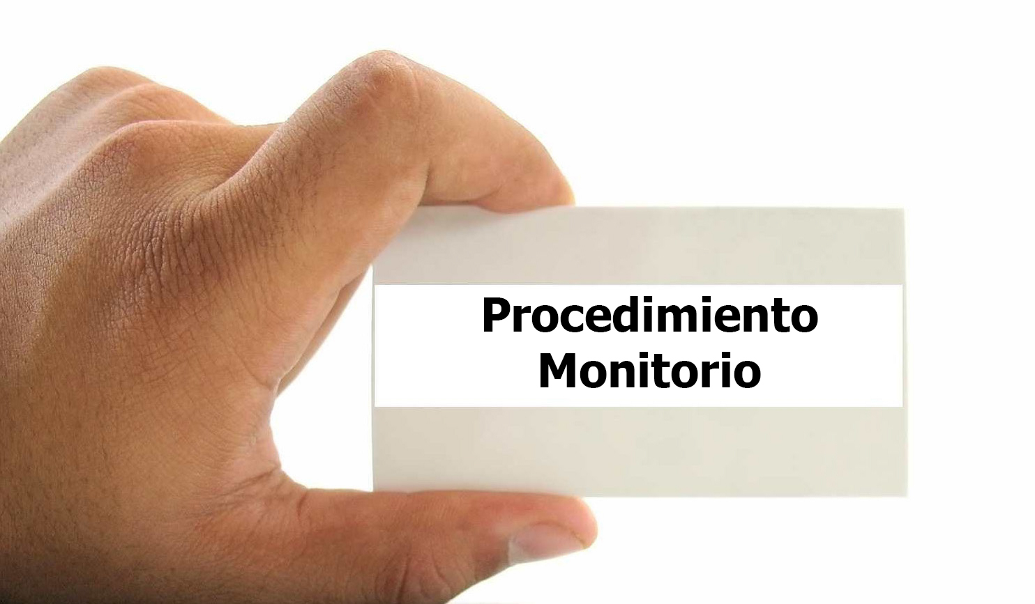 El procedimiento monitorio